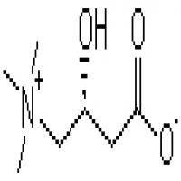 L-Carnitine Base