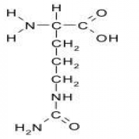 L-Citrulline