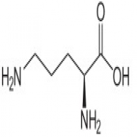 L-Ornithine