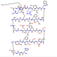 Liraglutide