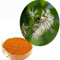 Macleaya cordata Extract