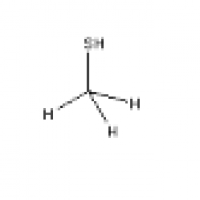 Methyl Mercaptan