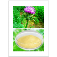 Milk Thistle seed extrac