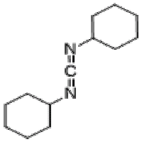 N,N- Dicyclohexylcarbodiimide(DCC)