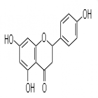 Naringenin