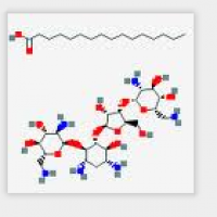 Neomycin Palmitate