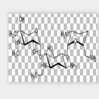 Netilmicin