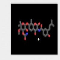 Novobiocin Calicum