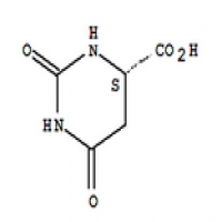 Nucleotide