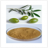 Olive Leaf Extract