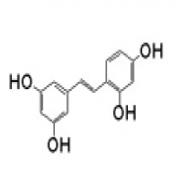 Oxyresveratrol