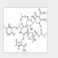 Paldimycin