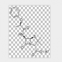 Phenethicillin Potassium