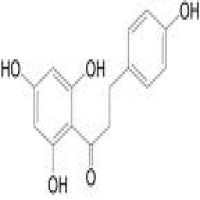 Phlorizin