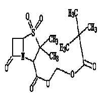 Pivoxil Sulbactam