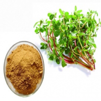 Portulaca Oleracea Extract