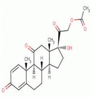 Prednisone Acetate