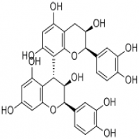 Procyanidin B2