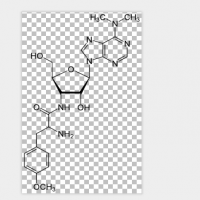 Puromycin