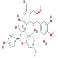 Pygeum Africanum Extract