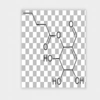 Ranimycin