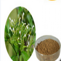 Rauwolfia vomitoria extract