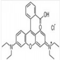 Rhodamine B