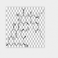 Rokitamycin