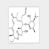 Rosamicin