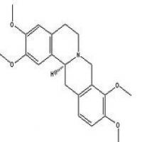 Rotundine