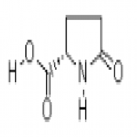 (S)-(-)-2-Pyrrolidone-5-carboxylic acid