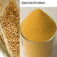 Soy Extract