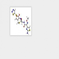 Streptomycin Hydrochloride