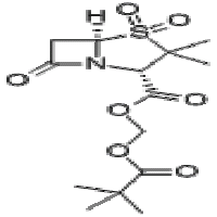 Sulbactam pivoxyl