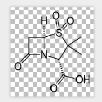 Sulbactam