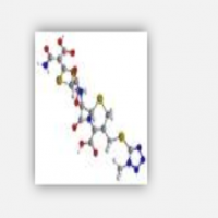 Synthomycin Palmitas