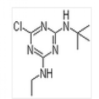 Terbuthylazine