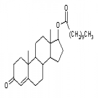 Testosterone undecanoate