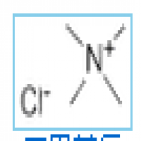 Tetramethylammonium chloride