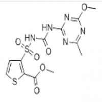 Thifensulfuron methyl