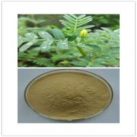 Tribulus terrestris Extract