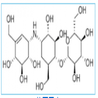 Validamycin