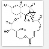 Verrucarin A