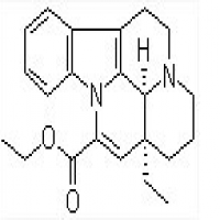 Voacanga Africana Extract