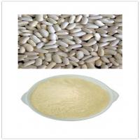 White Kidney Bean Extract