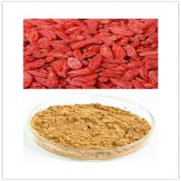 Wolfberry Extract