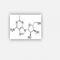 2-Methyladenosine