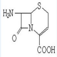 7-Amino-3-nor-3-cephem-4-carboxylic acid