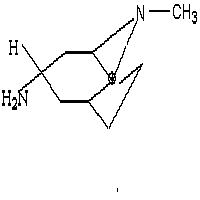 Endo-9-methyl-9-azabicyclo [3.3.1] nonan-3-amine