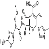 Cefditoren